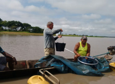 Aquicultura do estado conta com mais de 180 tanques