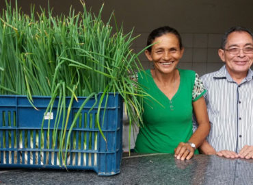 Investimentos elevam a renda de agricultores