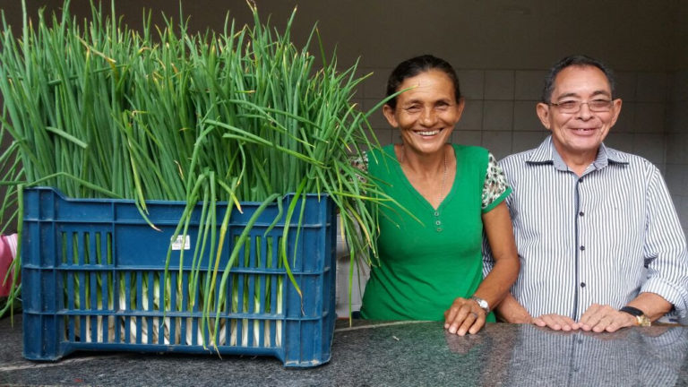Investimentos elevam a renda de agricultores
