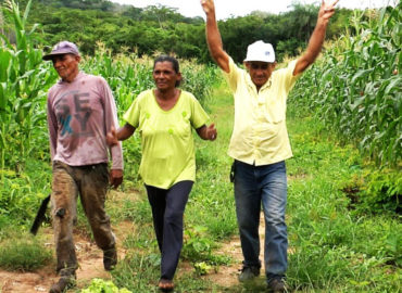 Produtores rurais podem renegociar dívidas com desconto