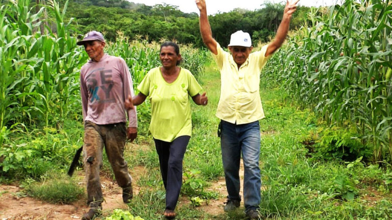 Produtores rurais podem renegociar dívidas com desconto