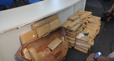Polícia apreende 130kg de drogas em janeiro