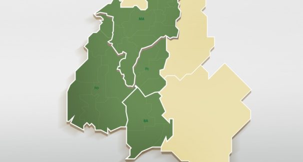 Matopiba faz grupo de trabalho por Código Florestal