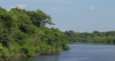 Inscrições abertas para edital de conservação do meio ambiente