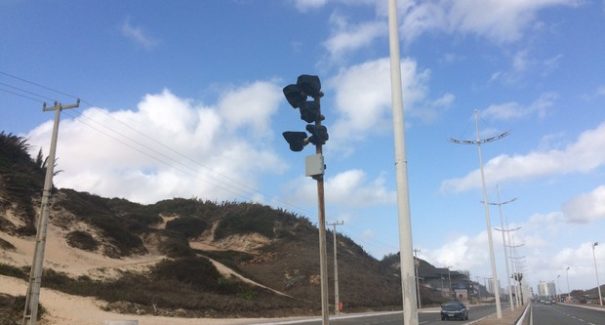 Pardais são reinstalados em São Luís; veja os locais