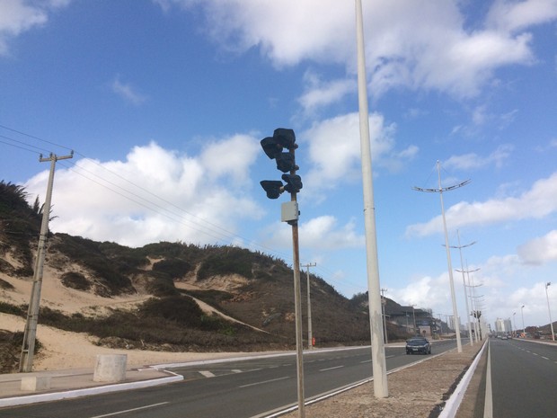 Pardais são reinstalados em São Luís; veja os locais