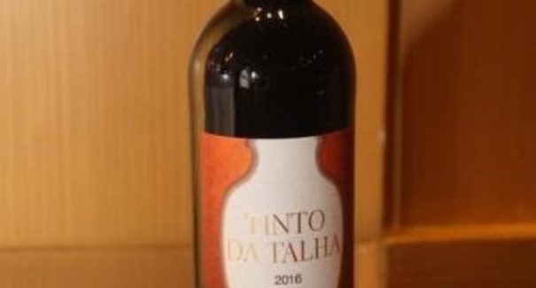 Vinhos e kit gourmet para presentear  os pais