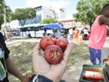 Praça Deodoro. Foto: Honório Moreira.