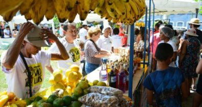 Feirinha São Luís amplia número de barracas na Praça Benedito Leite