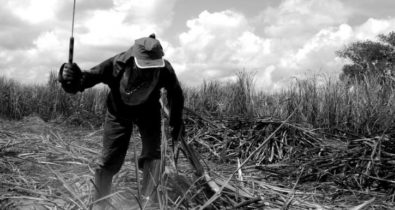 Maranhão lidera em fornecimento de mão de obra escrava