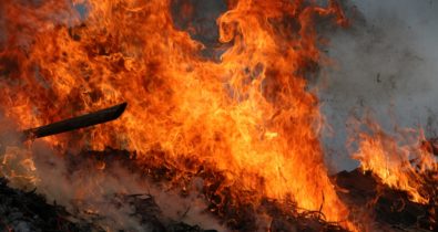 SEMA realiza campanha de conscientização sobre as queimadas