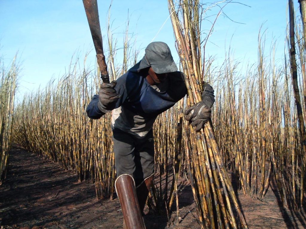 Trabalho escravo no Maranhão: 60% dos casos são degradantes | O Imparcial