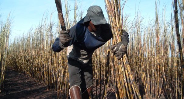 2° Encontro Nacional sobre combate ao tráfico de pessoas e ao trabalho escravo acontece em São Luís