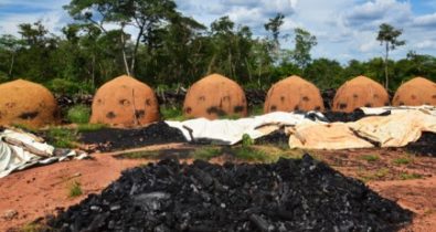 Maranhão é o maior produtor de carvão do país