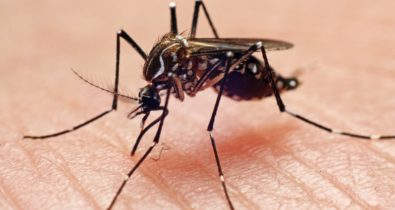 Semana Nacional de Mobilização no combate ao Aedes tem início nesta segunda