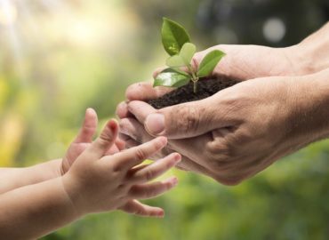 MA vai receber 400 mil dólares para projetos em sustentabilidade