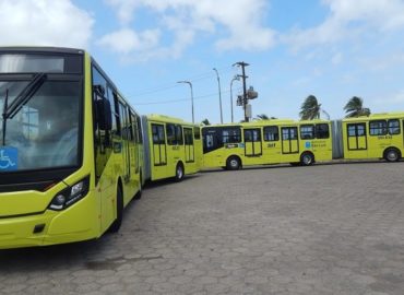 Ônibus articulados voltam às ruas da capital