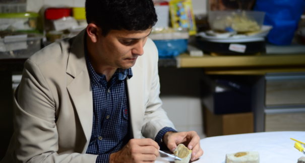 Pesquisador do IFMA encontra flores pré-históricas