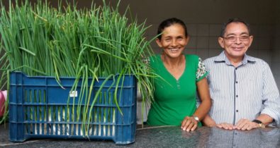 Mais de cinco mil famílias já foram beneficiadas pelo Programa de Aquisição de Alimentos