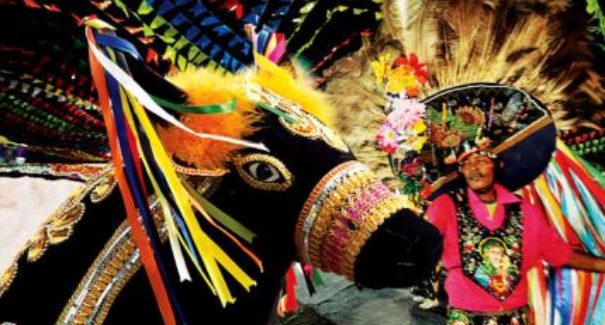 8 motivos que tornam o São João do Maranhão o melhor do Brasil
