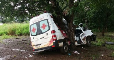 Ambulância colide em árvore na BR 135