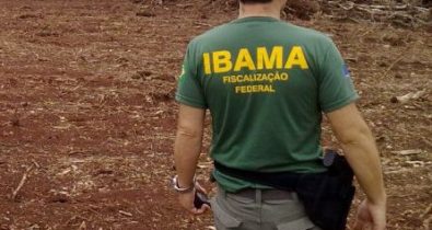 Ibama abre vagas temporárias para nível médio no Maranhão