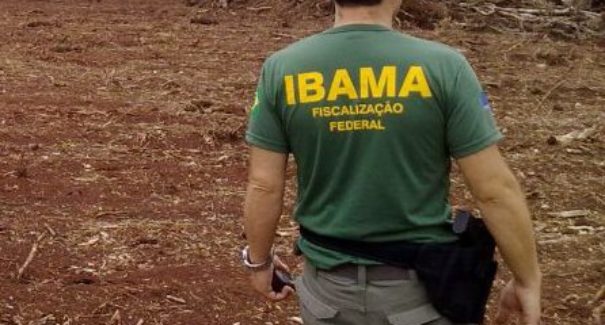 Ibama abre vagas temporárias para nível médio no Maranhão