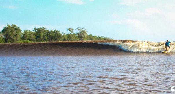 Pororoca: surfe na onda do Rio Mearim, em Arari, está de volta