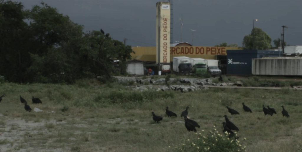 Foto: Paulo Malheiros 