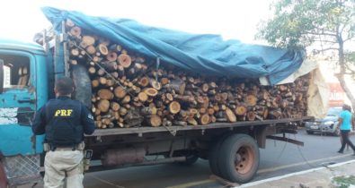 Caminhão carregado de madeira irregular é apreendido em Caxias