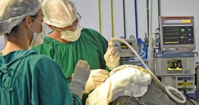 Hospital público de São Luís realiza cirurgia inédita