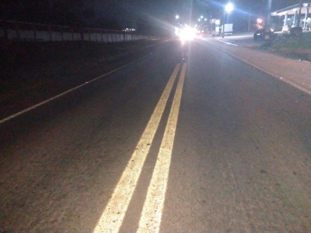 PRF registra dois acidentes fatais causados por animais na estrada