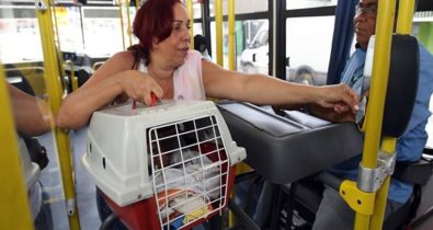 Proposta garante embarque de animais domésticos em todos os meios de transporte