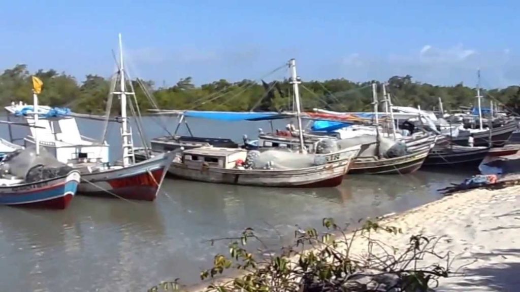 Ilha de Caçacueira, no Maranhão. (Foto: Reprodução)