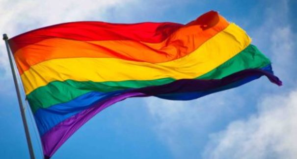 Instituições defendem maior participação LGBT+ na política