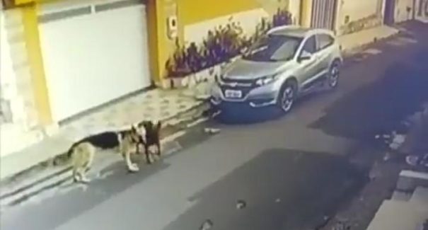 Enfermeira se pronuncia sobre atropelamento