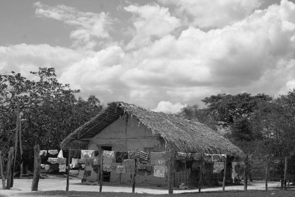 Casa de taipa em Caxias, interior do Maranhão (Foto: Raimundo Borges)