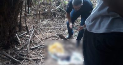 Corpo de recém-nascido é encontrado dentro de sacola no prédio da UFMA Imperatriz
