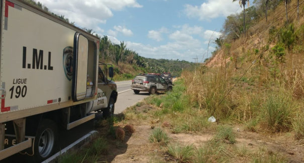 Esqueleto humano é encontrado em fazenda na BR-135