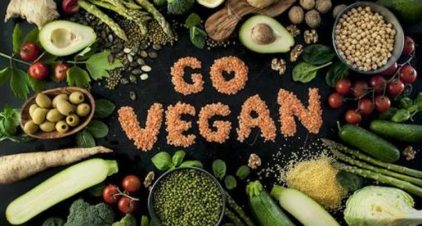 1ª Feira Vegana acontece em São Luís