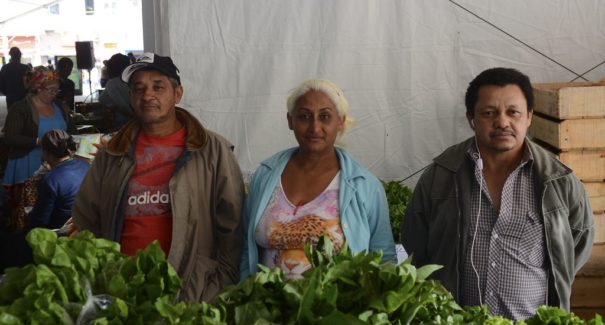 Trabalho Coletivo garante bons resultados para agricultores familiares