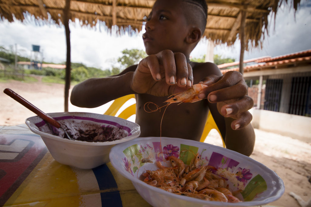 Fruto típico do Maranhão, Juçara pode ser comida com camarão, farinha, entre outros (Foto: Ana Mendes/Flickr)