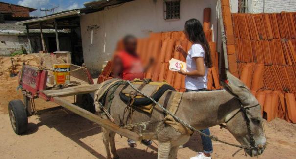 Apesar de regulamentada, atividade de carroceiro não é fiscalizada