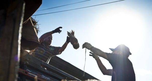 São Luís tem uma das cestas básicas mais baratas do Brasil