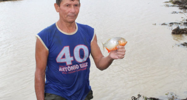 Mais de 2,5 toneladas de peixe nativo são distribuídas a famílias da Baixada