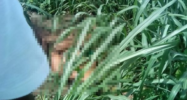 Mulher é encontrada morta com sinais de violência no Anjo da Guarda