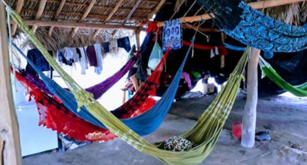 Maranhenses feitos de escravos são resgatados no Piauí
