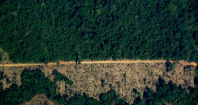 Proteção da Amazônia é desafio para nove governadores, incluindo Flávio Dino