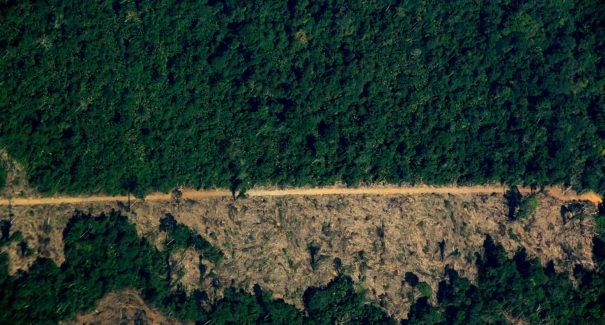 Proteção da Amazônia é desafio para nove governadores, incluindo Flávio Dino