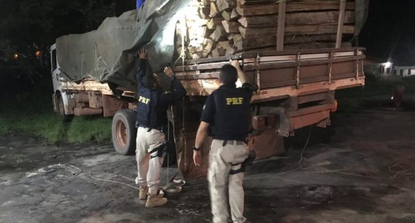 Madeira ilegal apreendida no interior pode ter sido roubada de território indígena